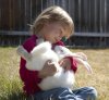 140742-425x393-Toddler-with-pet-bunny.jpg