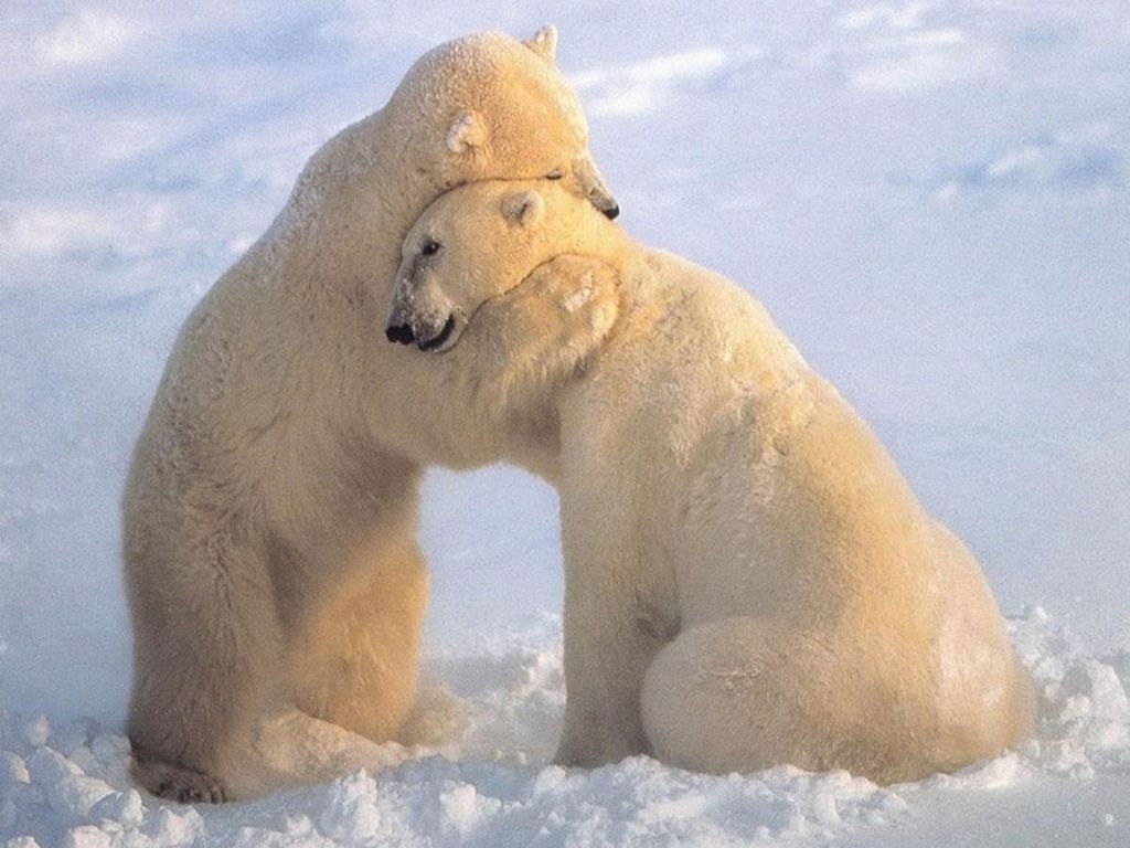 attachment.php