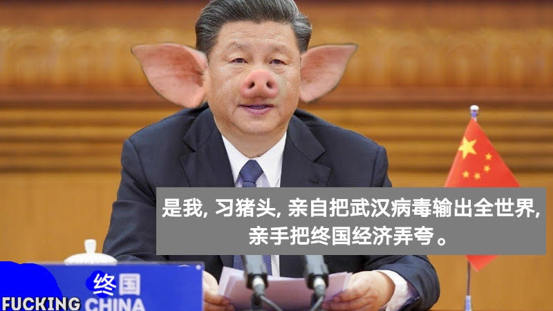 习猪头.jpg