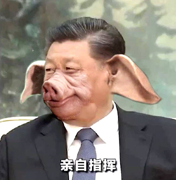 习猪头.jpg