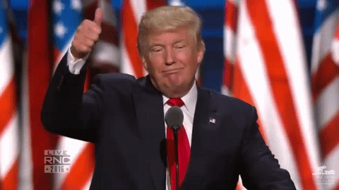 004C59D2-C1B6-48CE-8531-D0FC4FE98F8C.gif