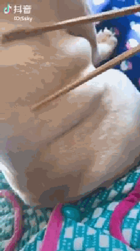 0a2d-fwnpcns6134227.gif
