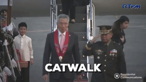 0D5EB520-107E-4198-8C24-CC0C85378CFB.gif