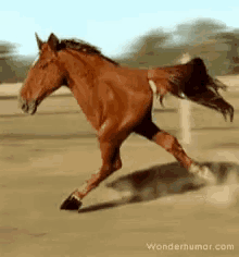 1000020820.gif
