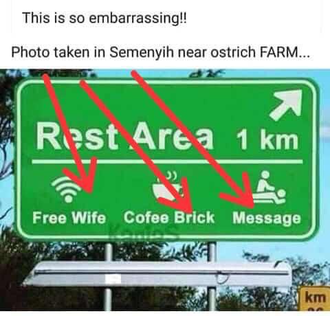 146b3dce-7f2d-4ab1-b692-92cbb432dbf8.jpeg
