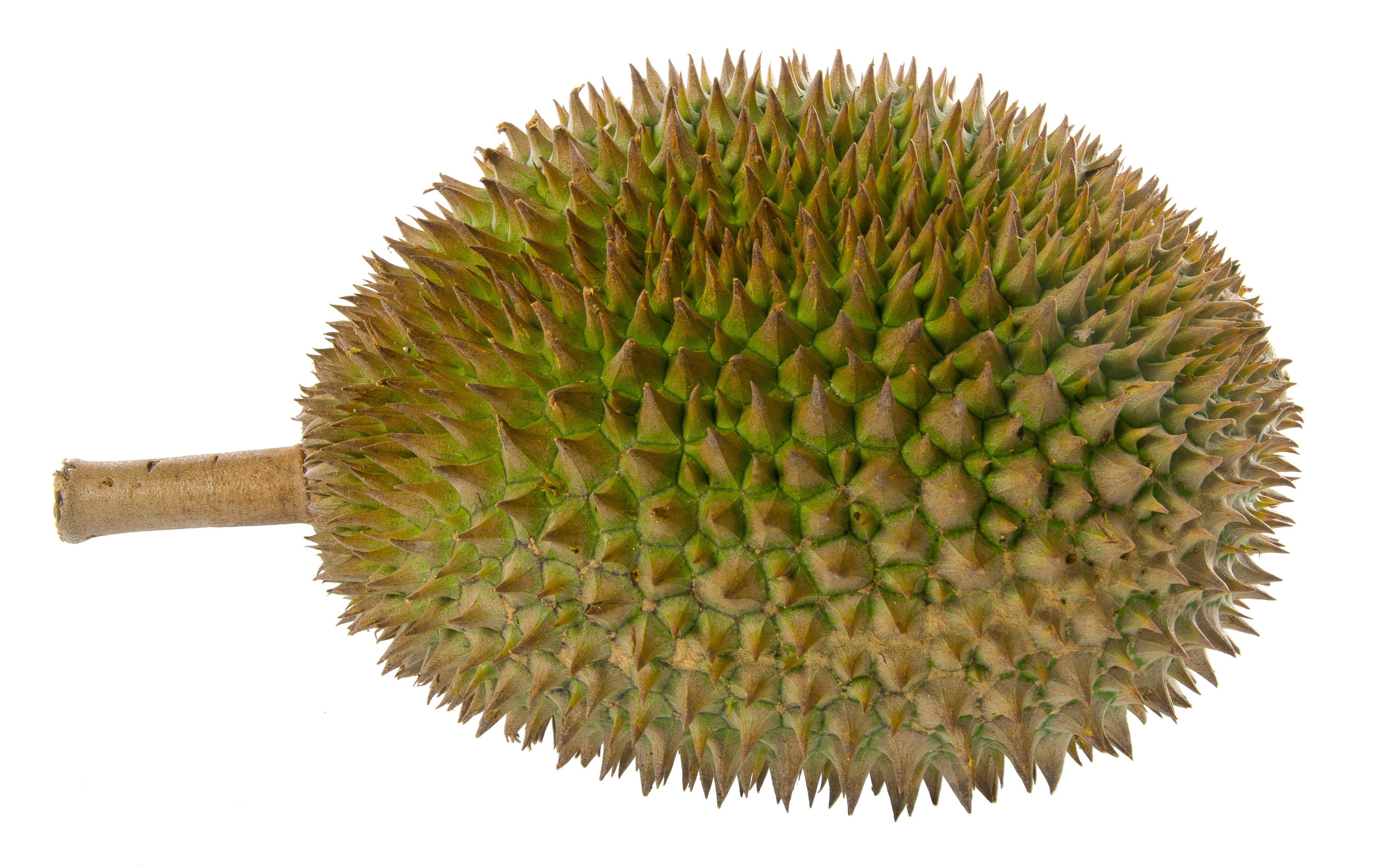1544833645182.png