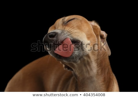 1550547937975.png