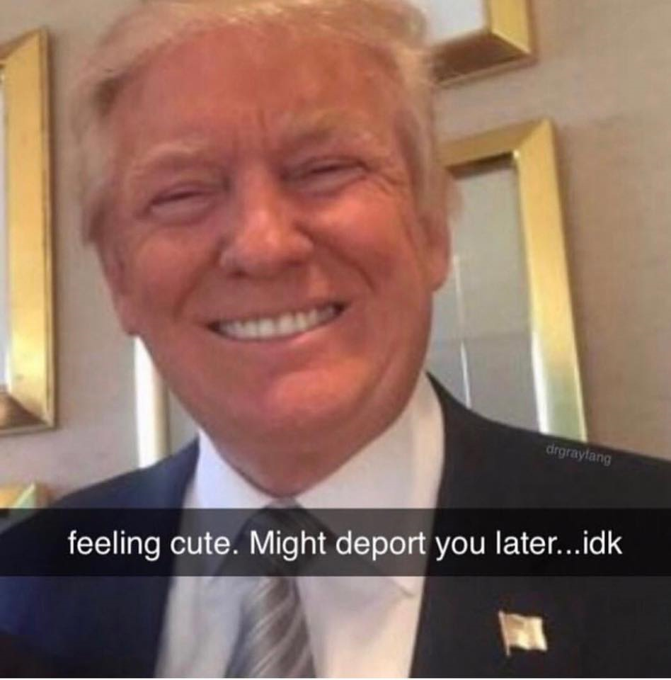 1555388036653.png