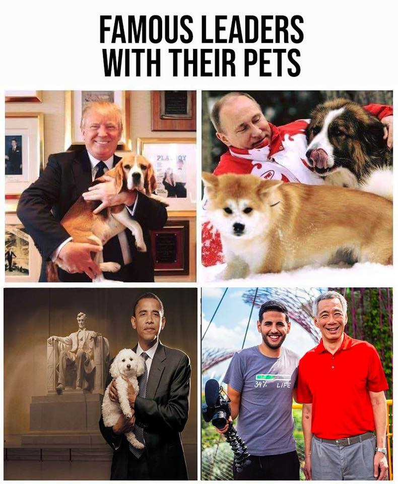 1558499013599.png