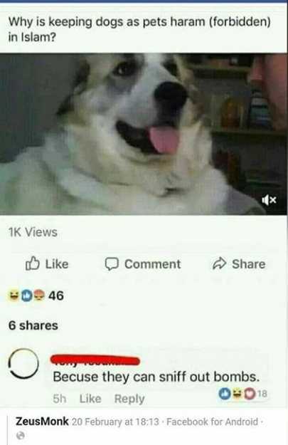 1559456187028.png