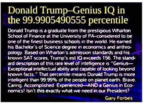 1574486486703.png