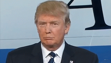 1574593047844.gif