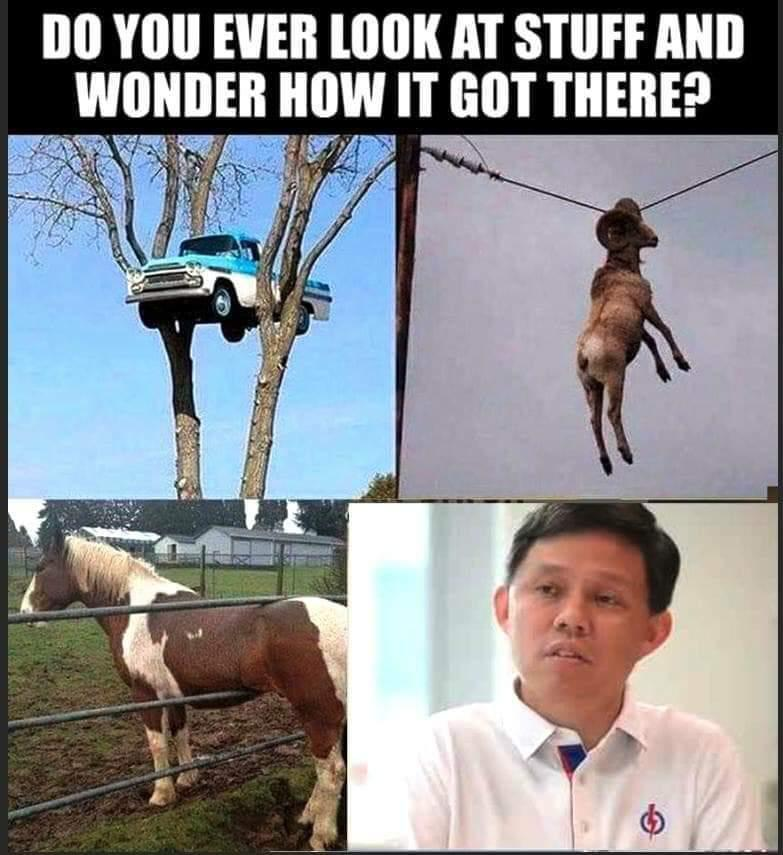 1591460837700.png