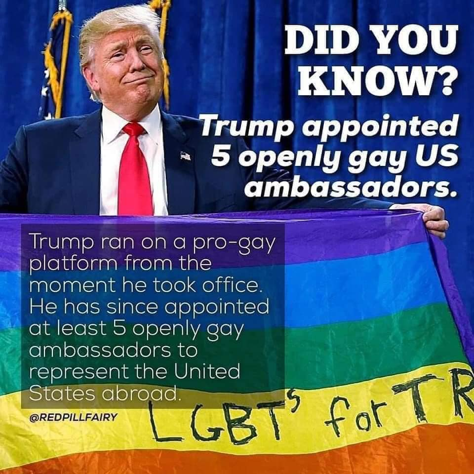 1603698602696.png