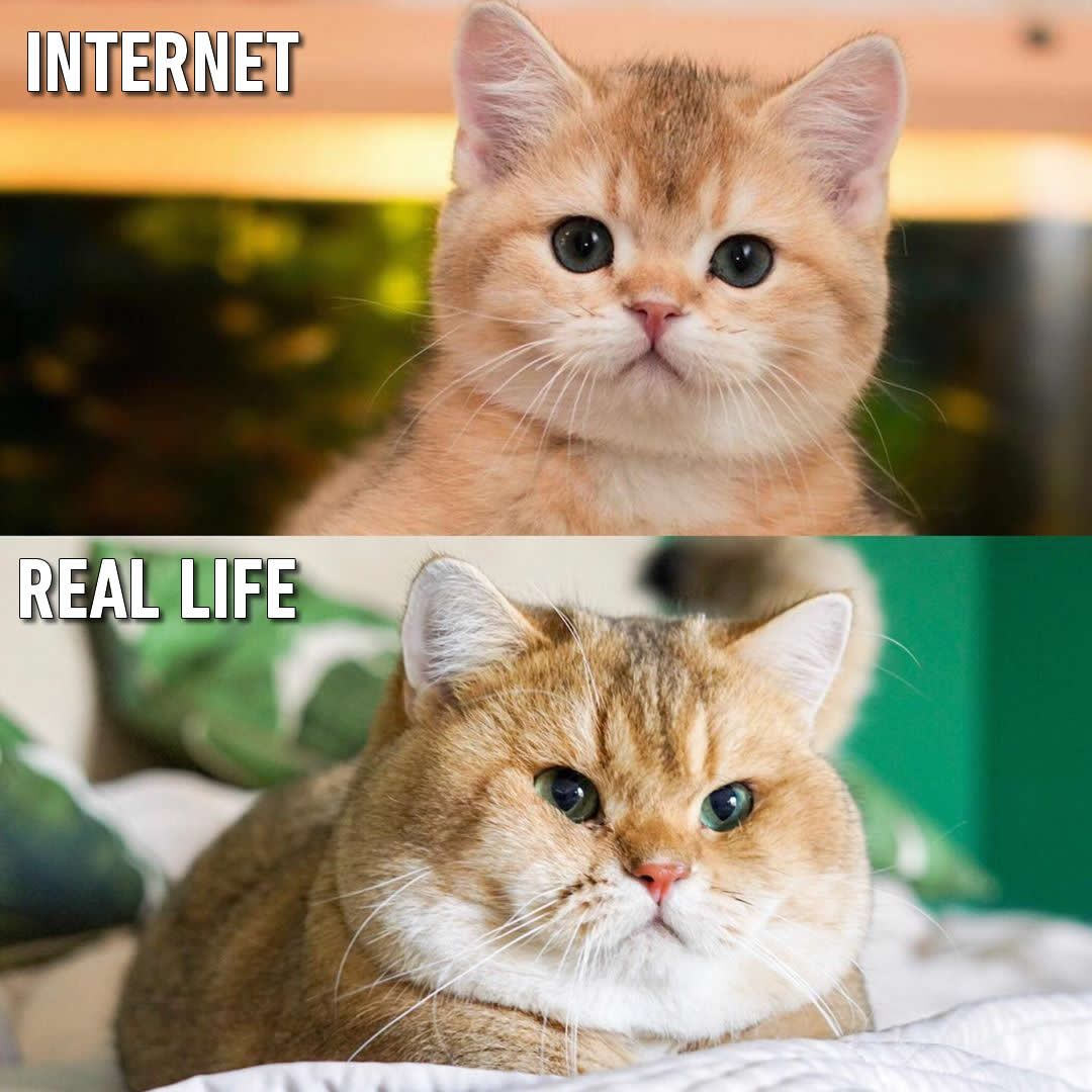 1605539587138.png