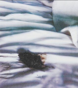 1609954515814.png
