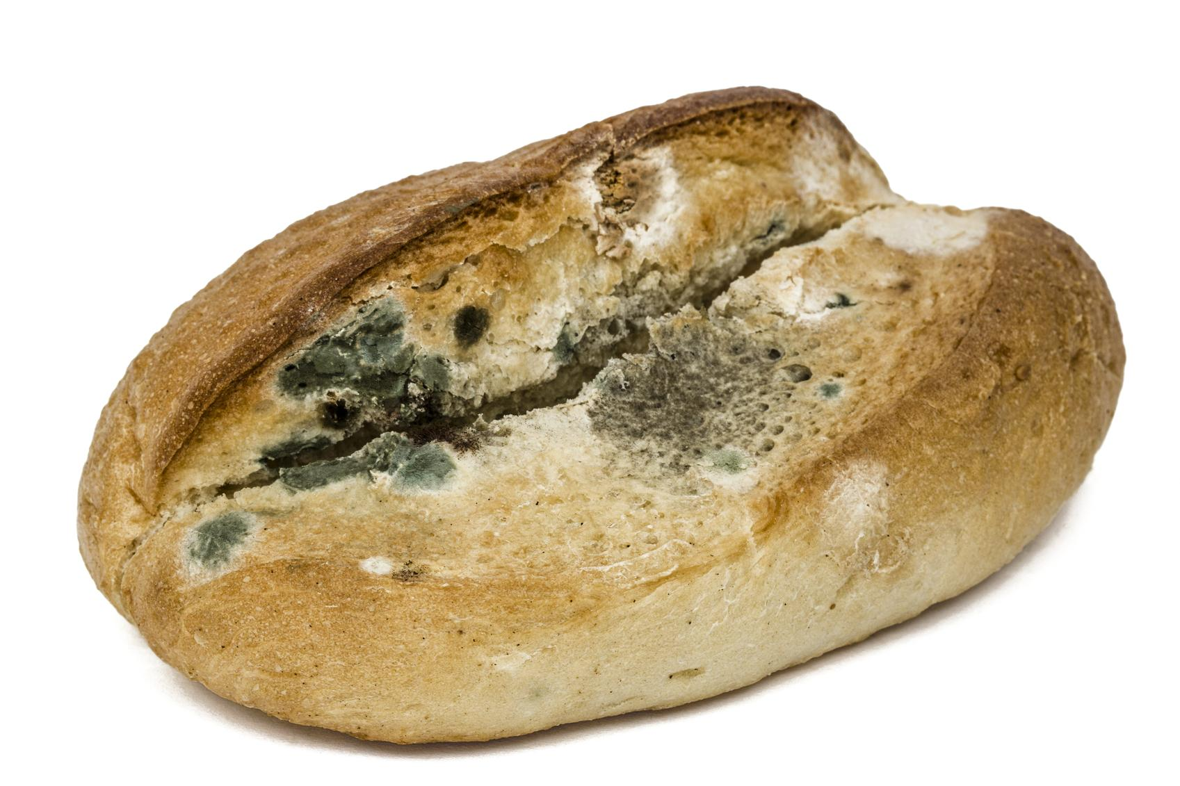 1615861098867.png