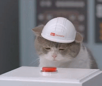 1616398260449.gif