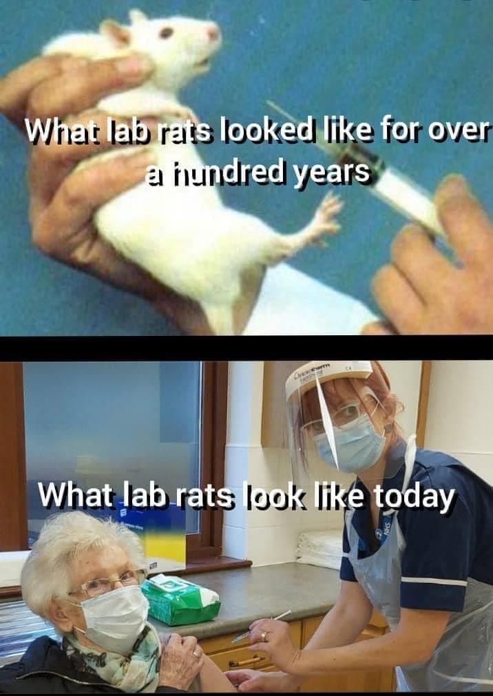 1619243456493.png