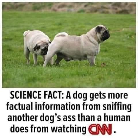 1622618276704.png