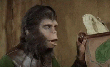 1627677364375.gif