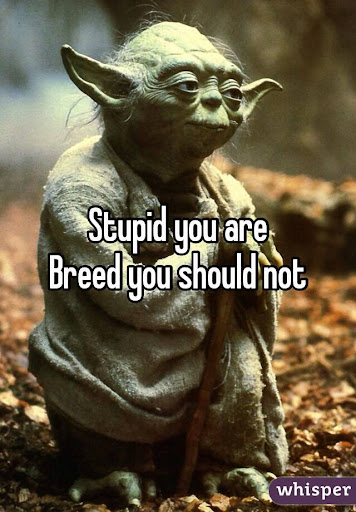1633305274722.png