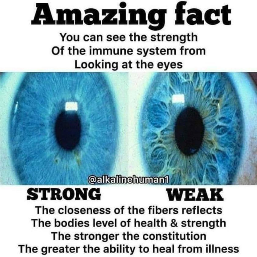 1636337859112.png