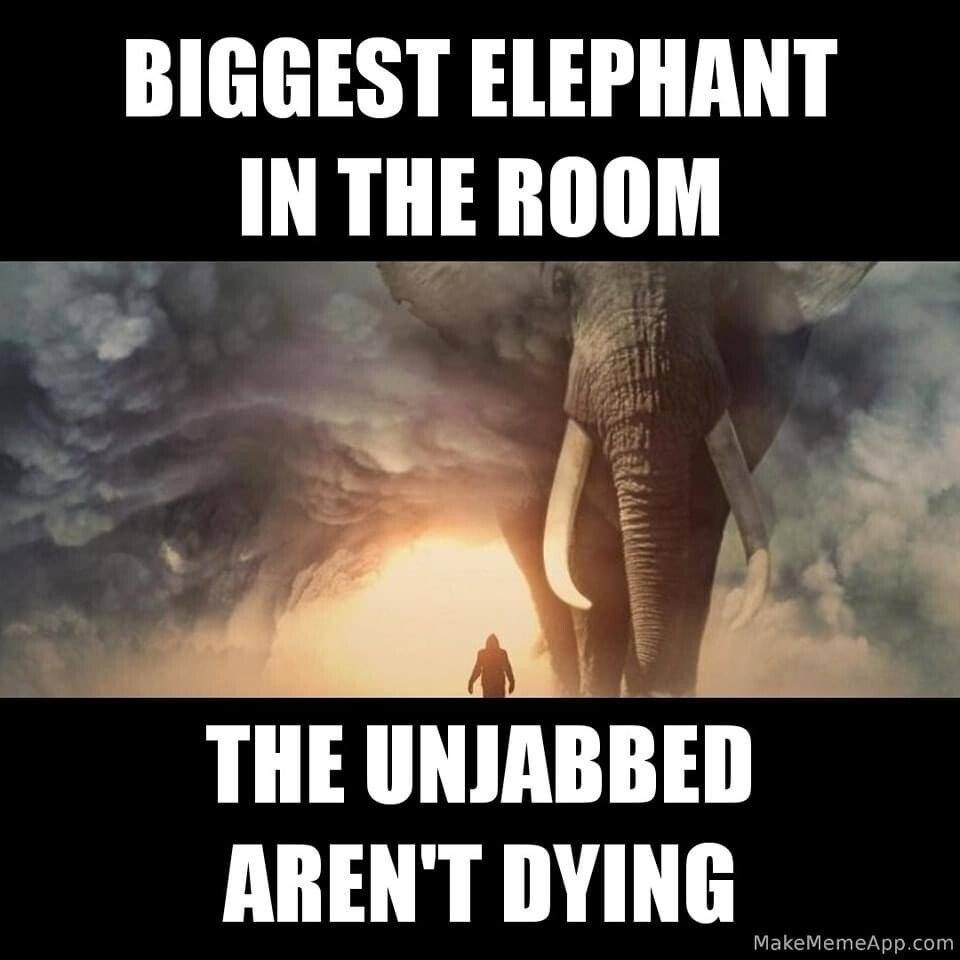 1638401375938.png