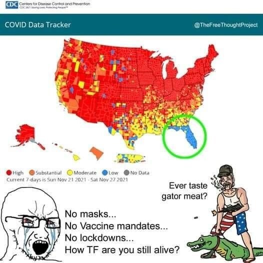 1638403809459.png