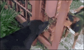 1647463774284.gif