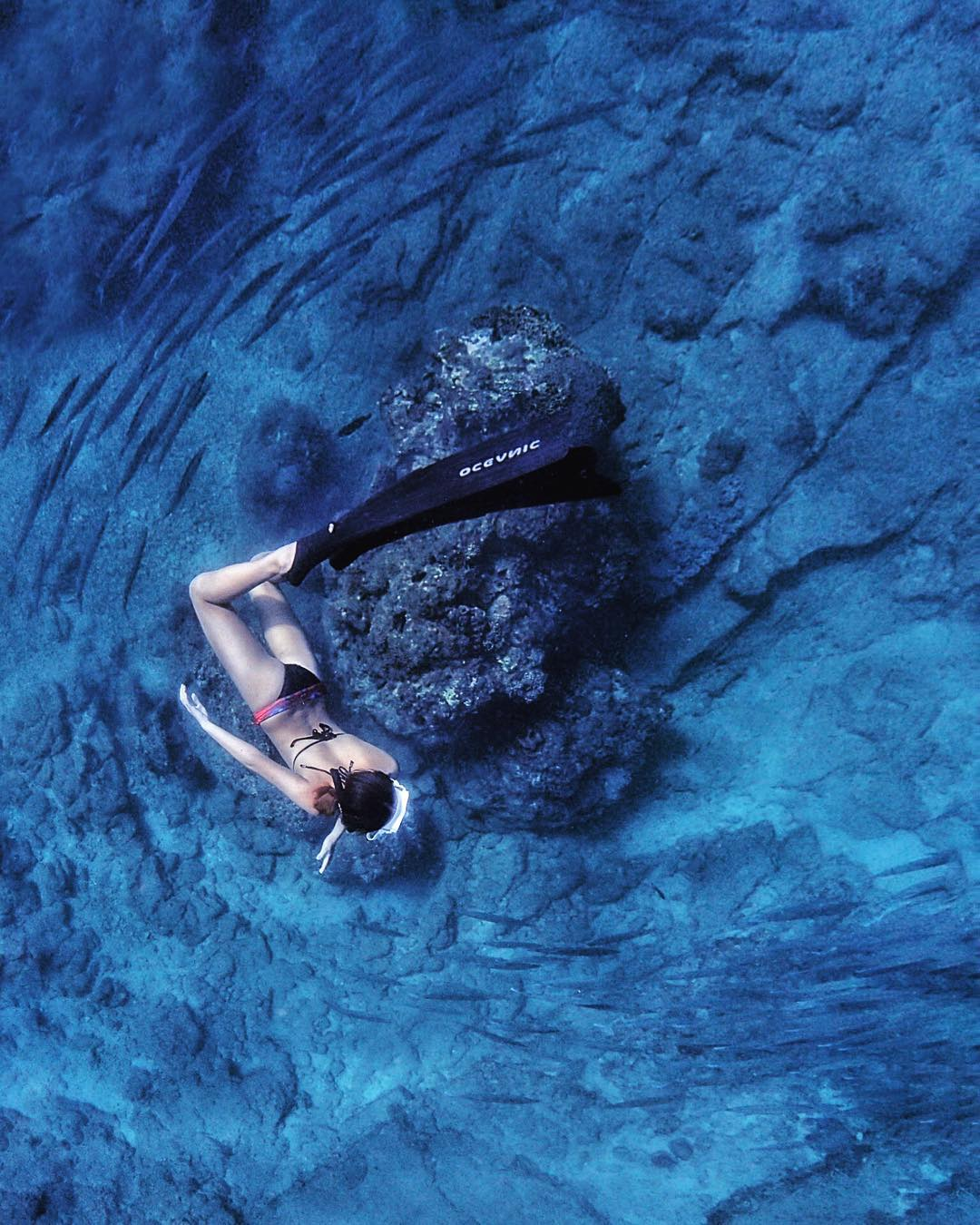 1650281996404.png