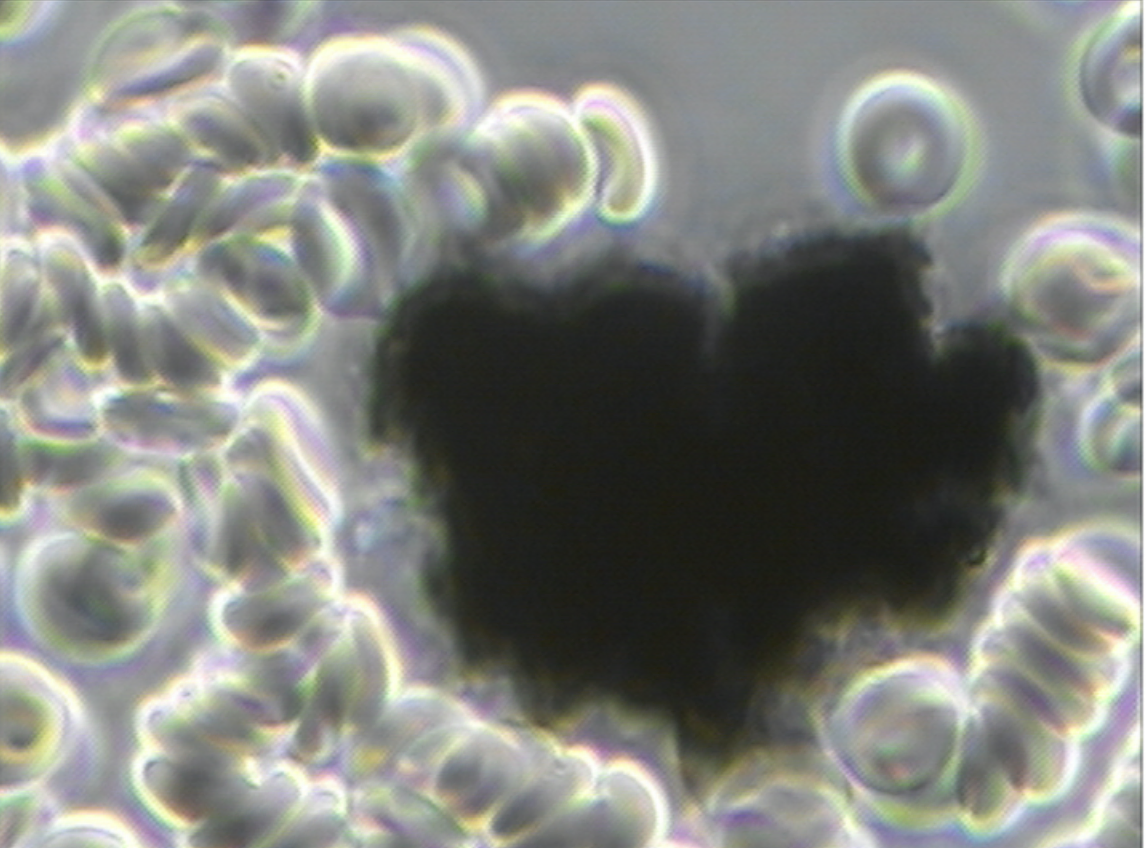 1650446796014.png