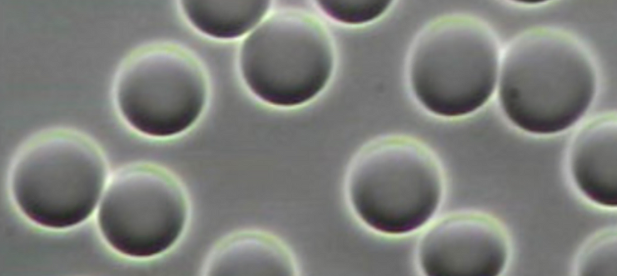 1650446866205.png