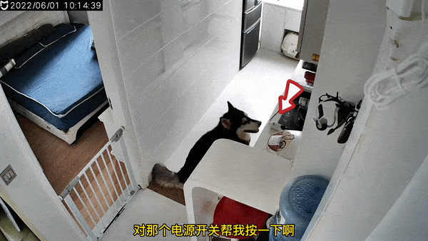 1655287503300.gif