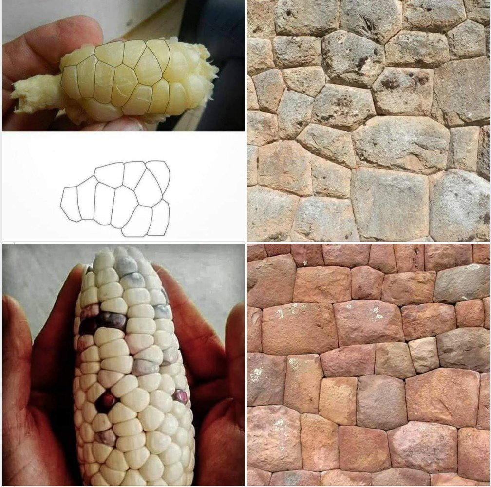 1656894853889.png