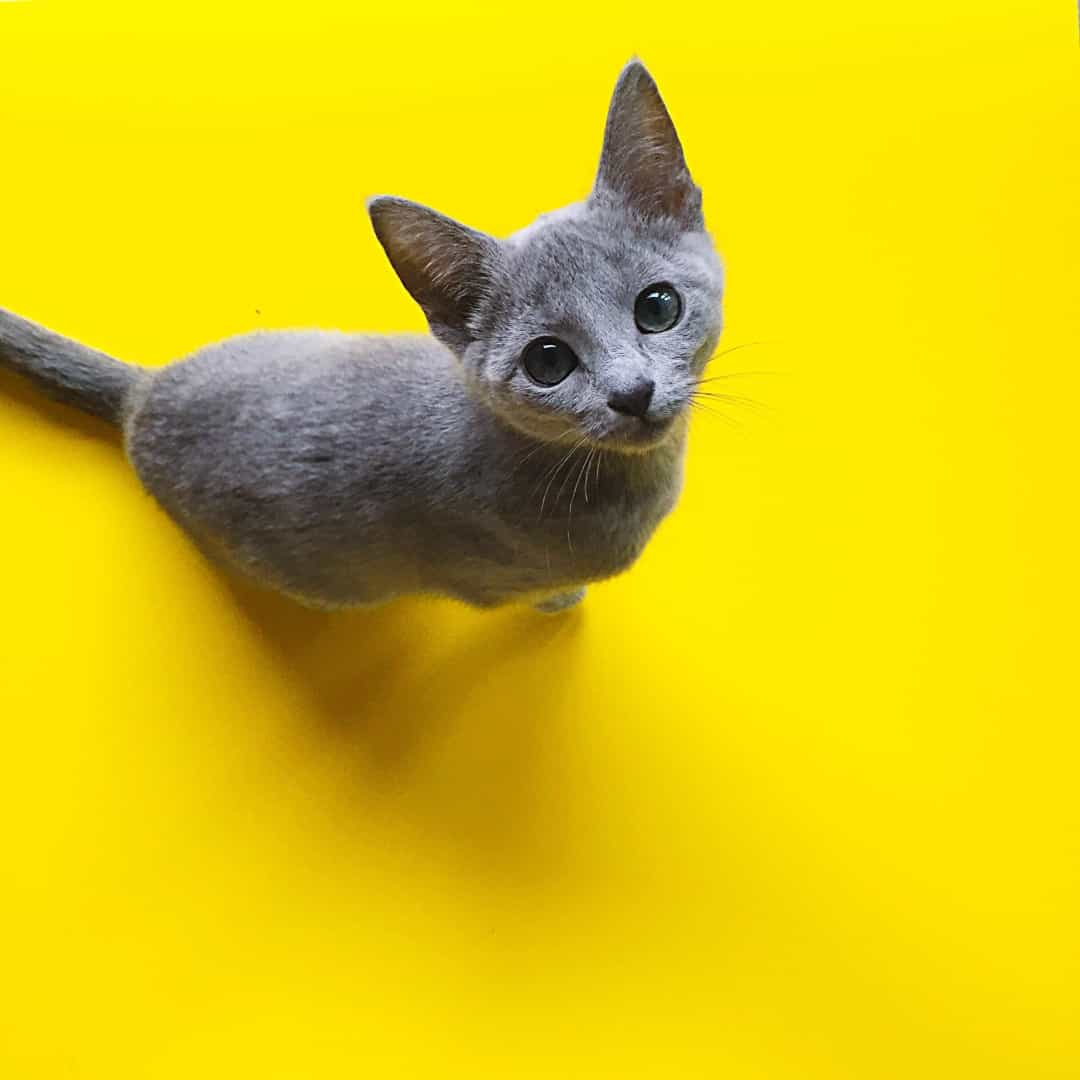 1660055766286.png