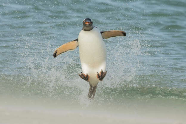 1660489010989.png