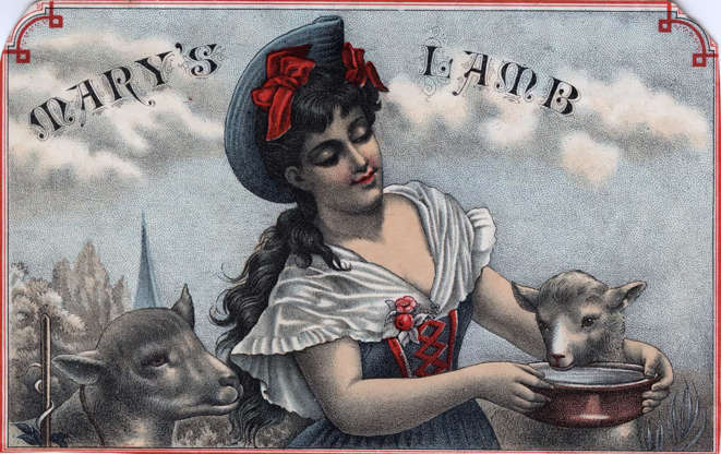 1661780217417.png