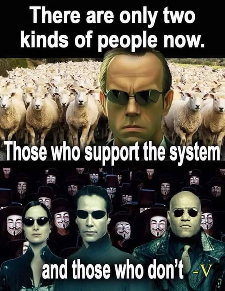 1662047019966.png