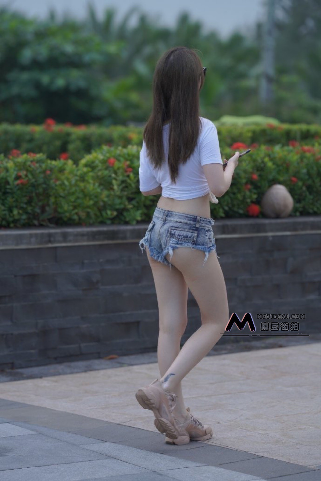 1663239515168.png