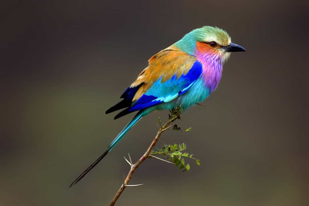 1663430188724.png