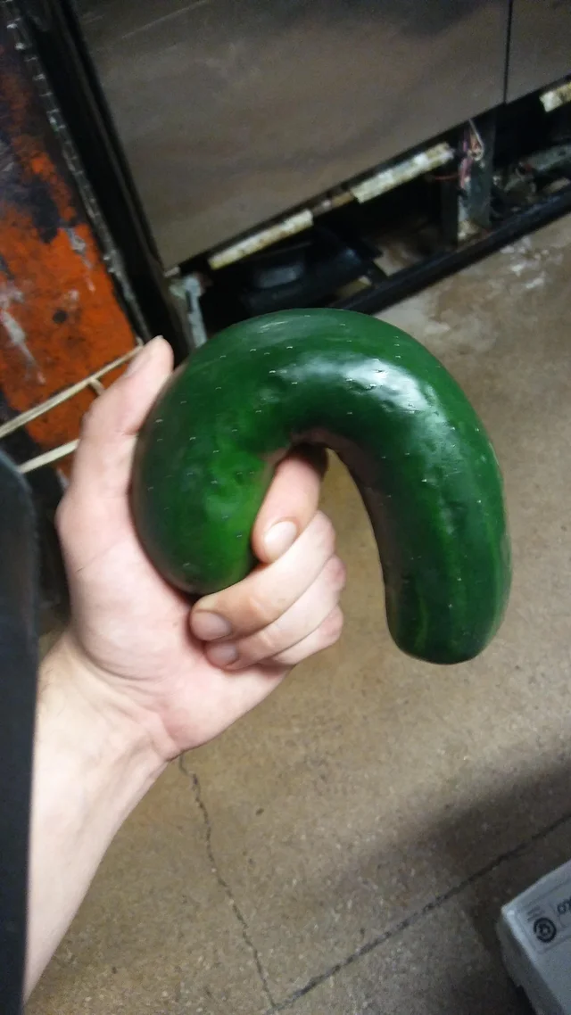 1663603399412.png