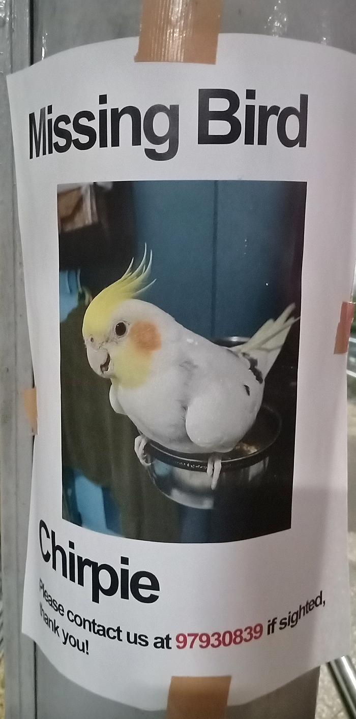 1664714840070.png