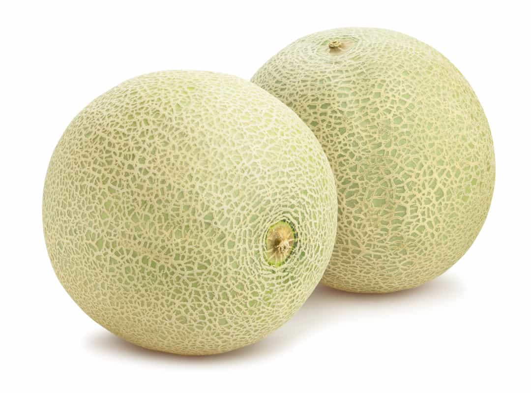 1667228006260.png
