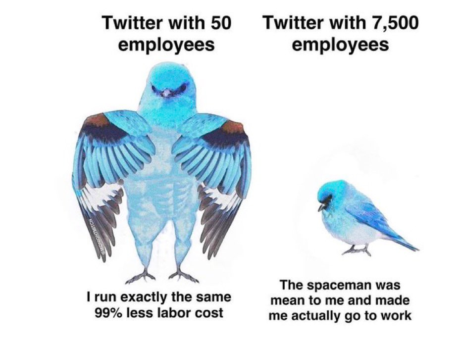 1668924472309.png