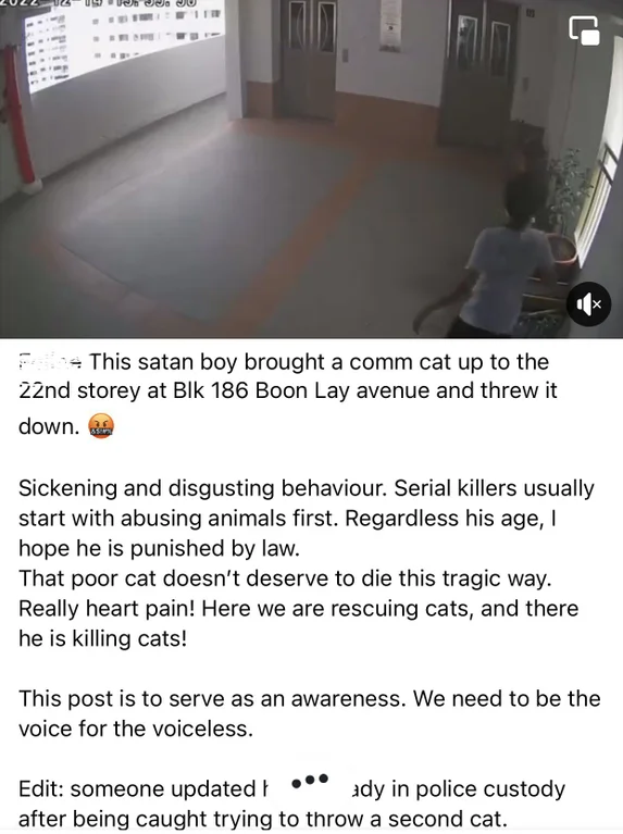 1671195784660.png
