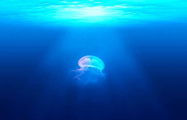 1673535747363.png