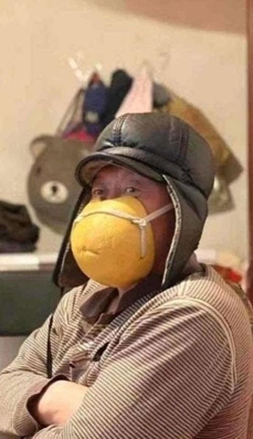 1683020660543.jpeg