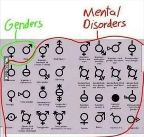 1684073105222.jpeg