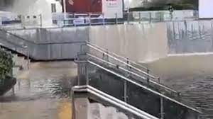 1690122264070.jpeg